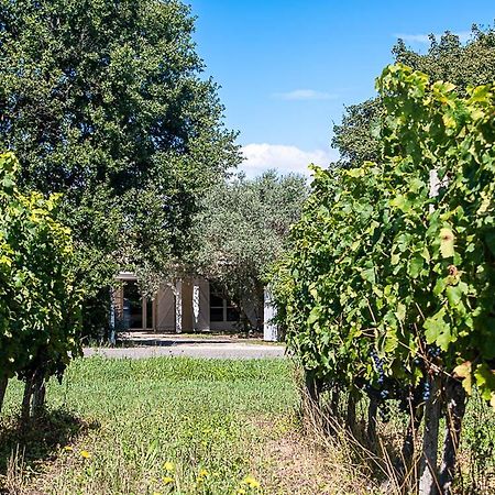 Au Detour Des Vignes Bed & Breakfast Ordonnac Exterior photo