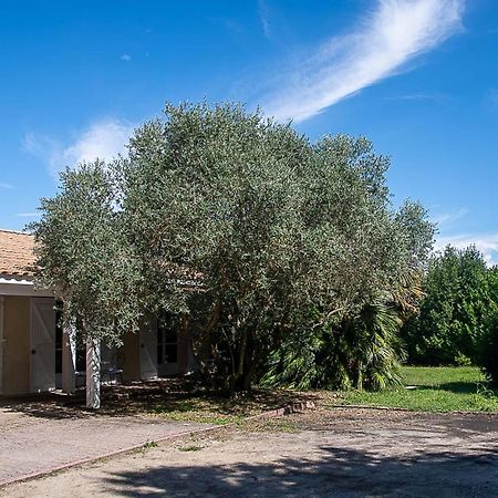 Au Detour Des Vignes Bed & Breakfast Ordonnac Exterior photo